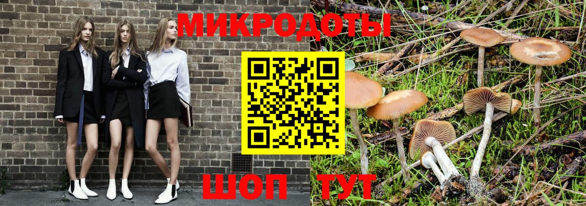 где можно купить   Вход с VPN  Краснознаменск  Псилоцибиновые грибы мицелий 